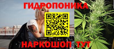 гашик Тара