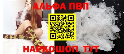 гашик Тара