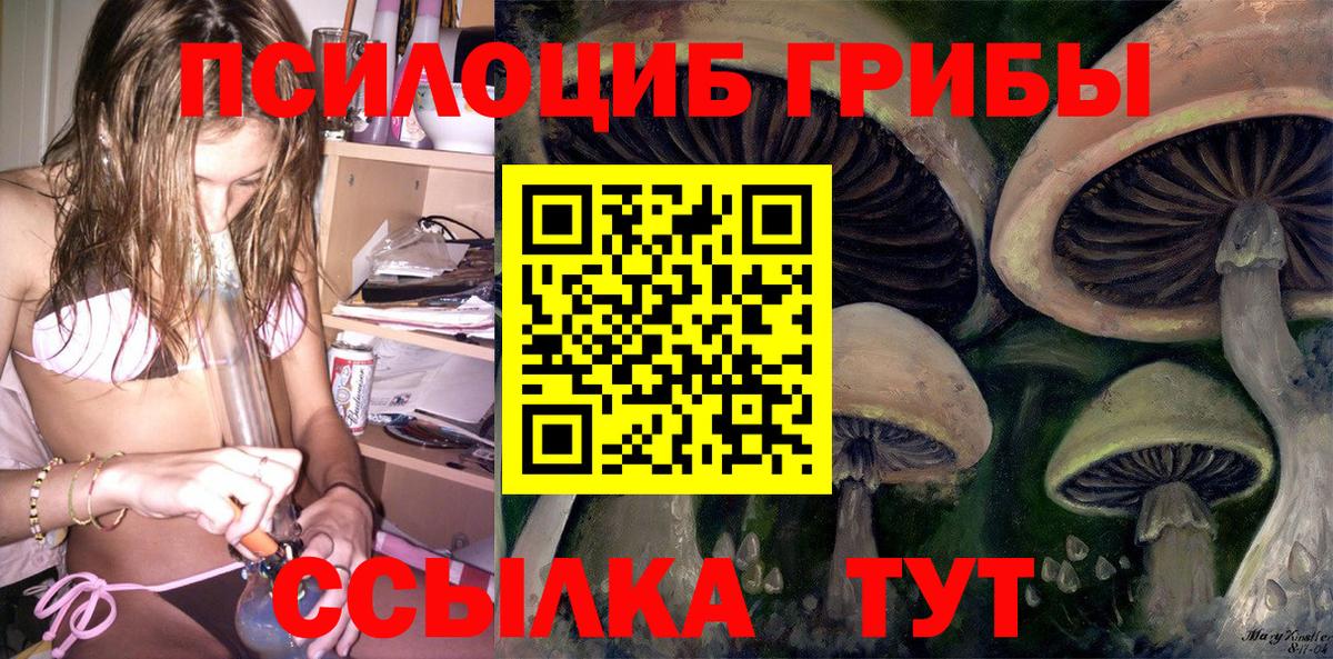 Галлюциногенные грибы Cubensis Октябрьский